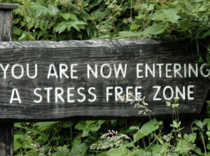 Integrated Care DC November 2022 Newsletter